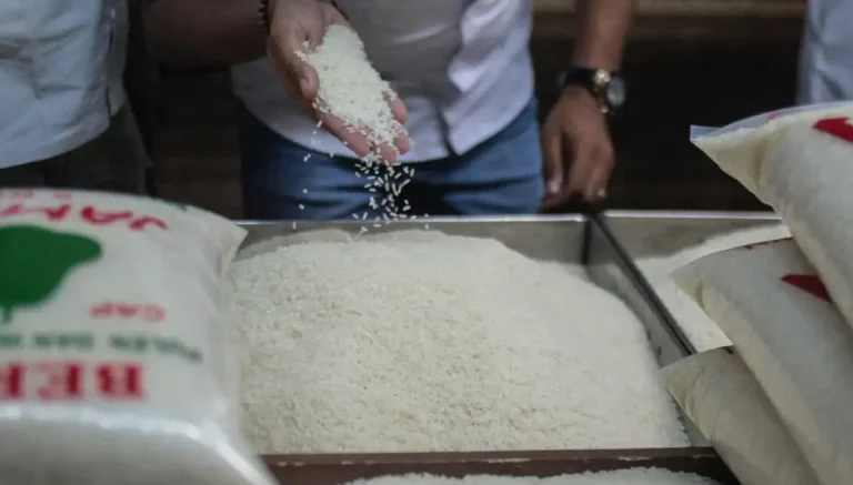 Pemerintah Siapkan Perubahan Standar Mutu dan HET Beras