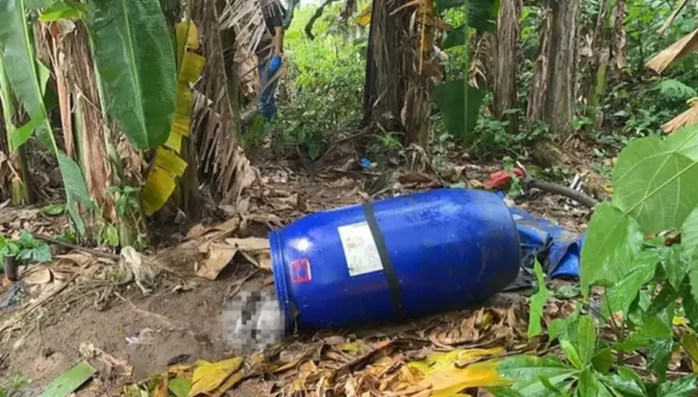 Penyelidikan Dugaan Pembunuhan di Jakarta Pencocokan DNA dan Hasil Autopsi Ungkap Kekerasan