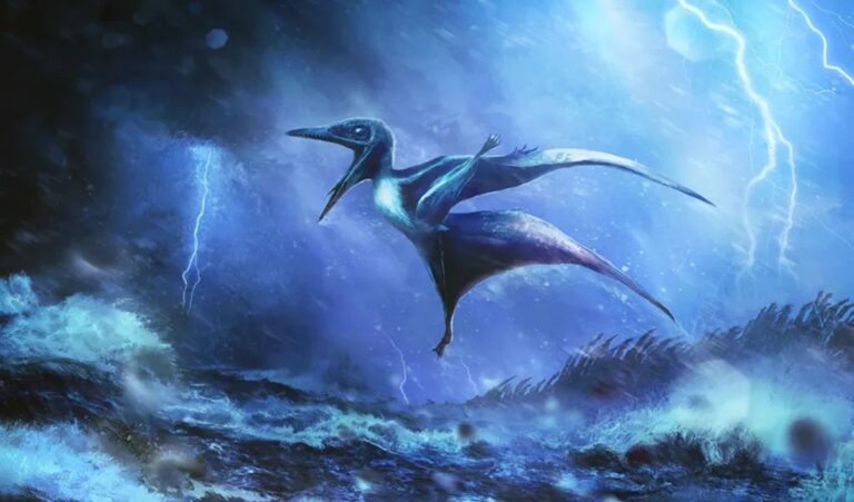 Fosil Bayi Pterosaurus Mengungkap Tragedi Badai Purba