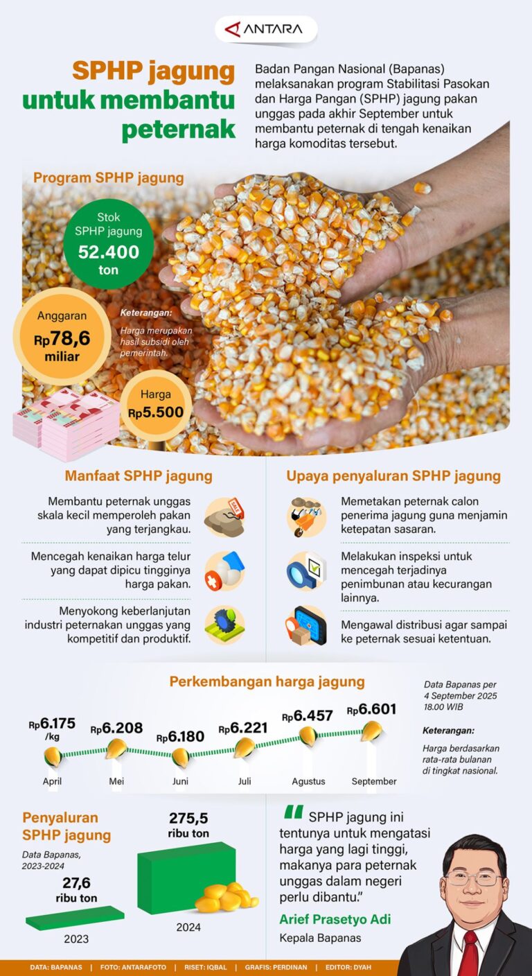 SPHP Sediakan Jagung untuk Mendukung Peternak Lokal