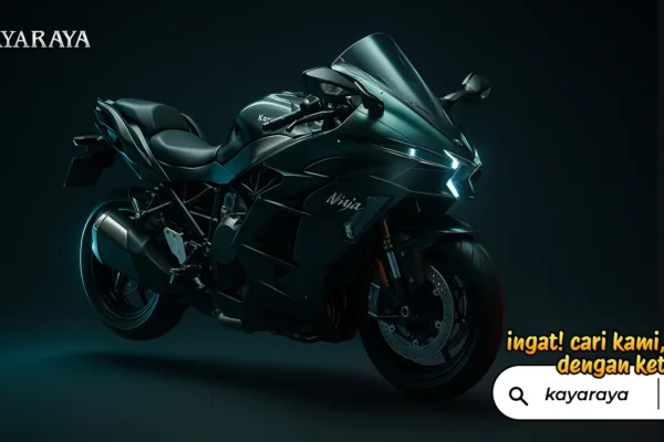 kawasaki ninja h2sx