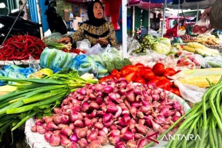 Harga Bawang Merah Tembus Rp42.000/kg, Cabai Rawit Rp49.150/kg