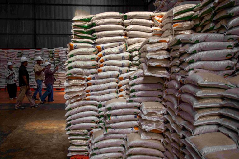 Pemerintah Bidik Serapan 2 Juta Ton Beras Petani di 2026