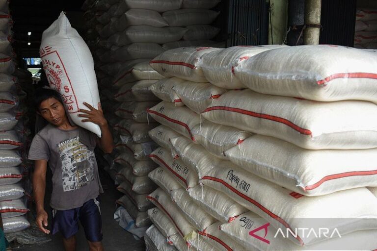 Outlook 2026: Tantangan Produksi Beras dan Transformasi yang Diperlukan