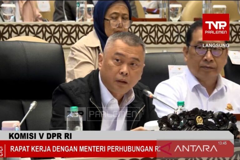 Bandara Papua Ditutup Sementara Setelah Insiden Penembakan Pilot