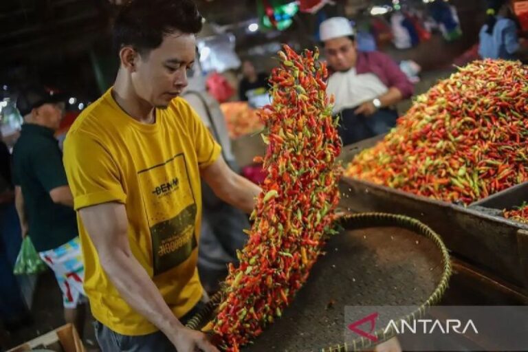 Harga Cabai Rawit Merah Capai Rp72.500/kg, Telur Ayam Rp31.500/kg