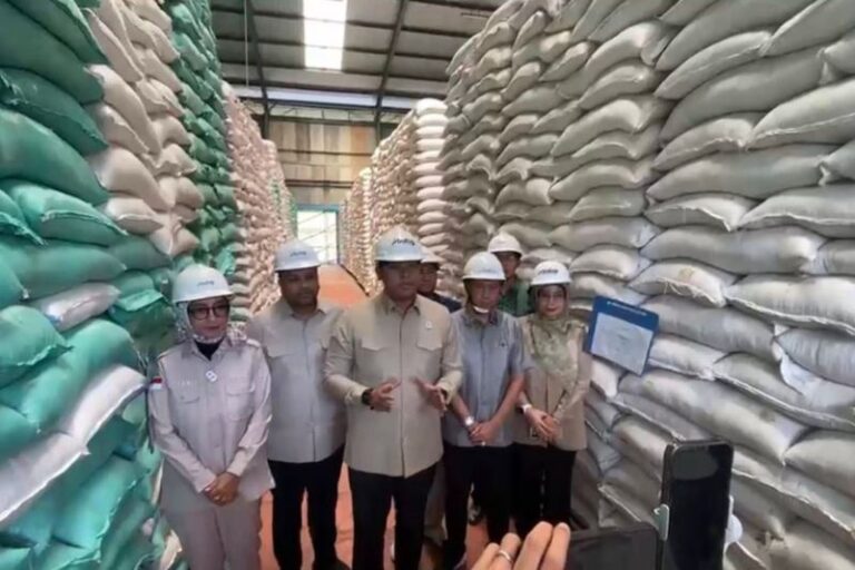 Wamentan Tekankan Pentingnya Kualitas Beras di Masa Stok Penuh