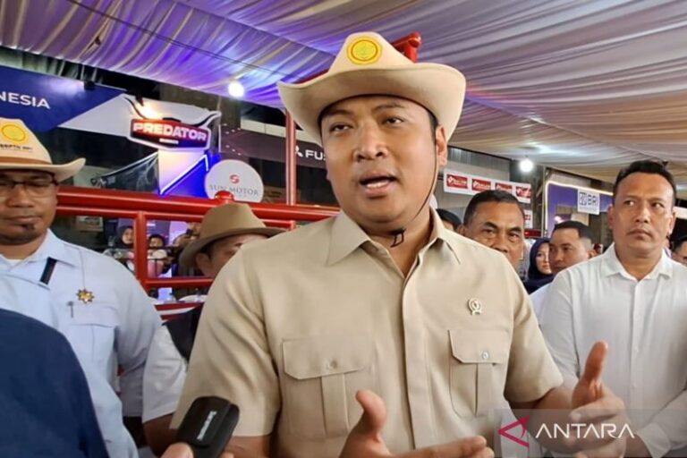 Wamentan Pastikan Stok Daging Sapi Aman untuk Idul Adha