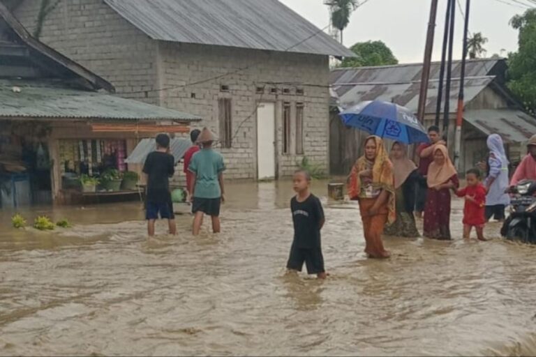 Banjir Terjang, 552 Rumah di Donggala Tergenang Air