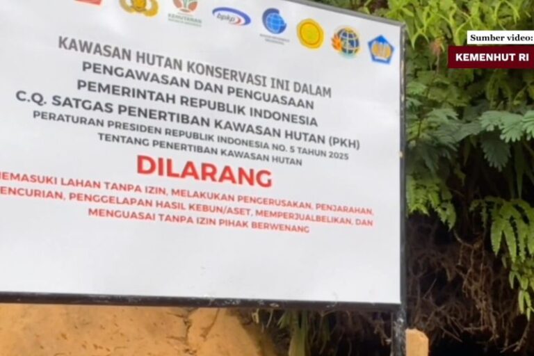 Penertiban Hutan Jadi Cerminan Pemberantasan Korupsi