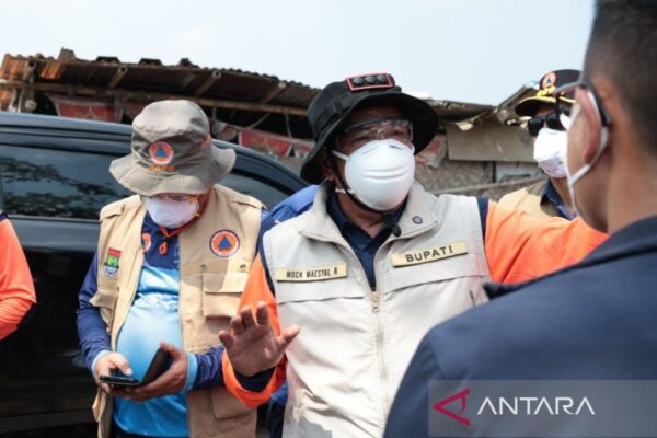 [original_title]