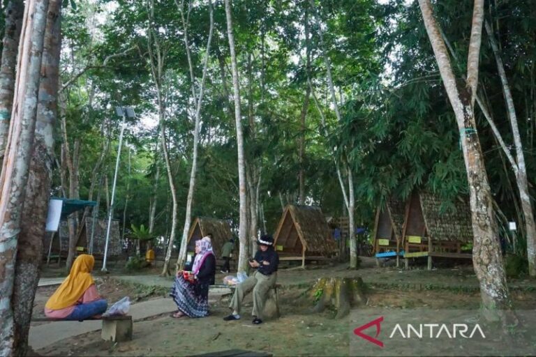 Transformasi Tata Kelola Kehutanan Perlu Inklusif dan Berkelanjutan