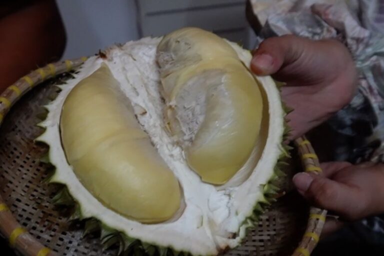 Pangkalpinang Adakan Bazar Cumasi Durian Promosikan Buah Lokal