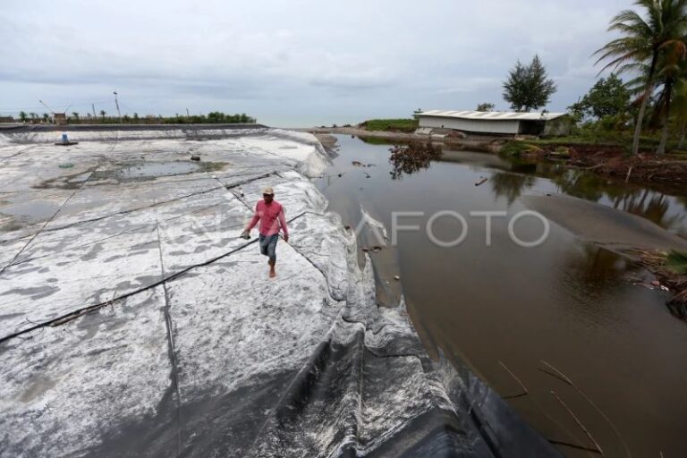 KKP Cita 15.000 Hektare Tambak Aceh Berfungsi Kembali 2026